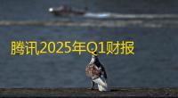 腾讯2025年Q1财报：AI战略驱动正循环，经营利润同比增长18%